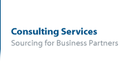 Consulting Services for Business Partners